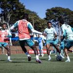Cruzeiro x Grêmio: veja atletas à disposição de Jardim para jogo do Brasileiro