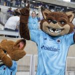 Pacotão do Cruzeiro: as principais notícias deste sábado (28)