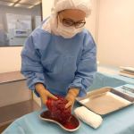 Placenta pode se tornar curativo biológico