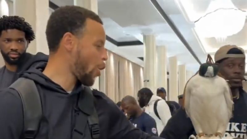 Astro da NBA, Curry é surpreendido com falcão na chegada a Abu Dhabi com a seleção dos EUA