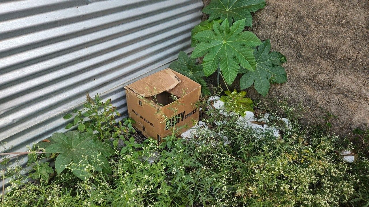 Recém-nascido em caixa de papelão em MG: PC diz que há indícios de que mãe não sabia da gravidez