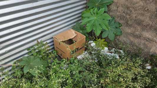Criança encontrada em caixa de papelão