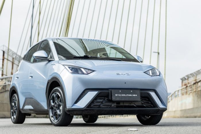 BYD Dolphin Mini GL
