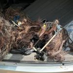 Suspeitos de furtar fios de cobre de área de preservação em Contagem são detidos