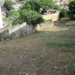 Com alta nos casos de dengue, Belo Horizonte tem quase 20 mil lotes vagos 