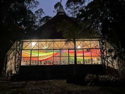 Chá do santo daime pode ter sido a causa da morte de idoso.jpg