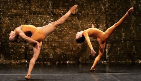 Dança, teatro, cinema e exposições: confira a programação que entra em cartaz no Palácio das Artes em agosto
