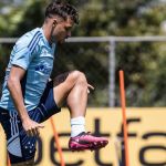 Males que vieram para o bem do Cruzeiro!