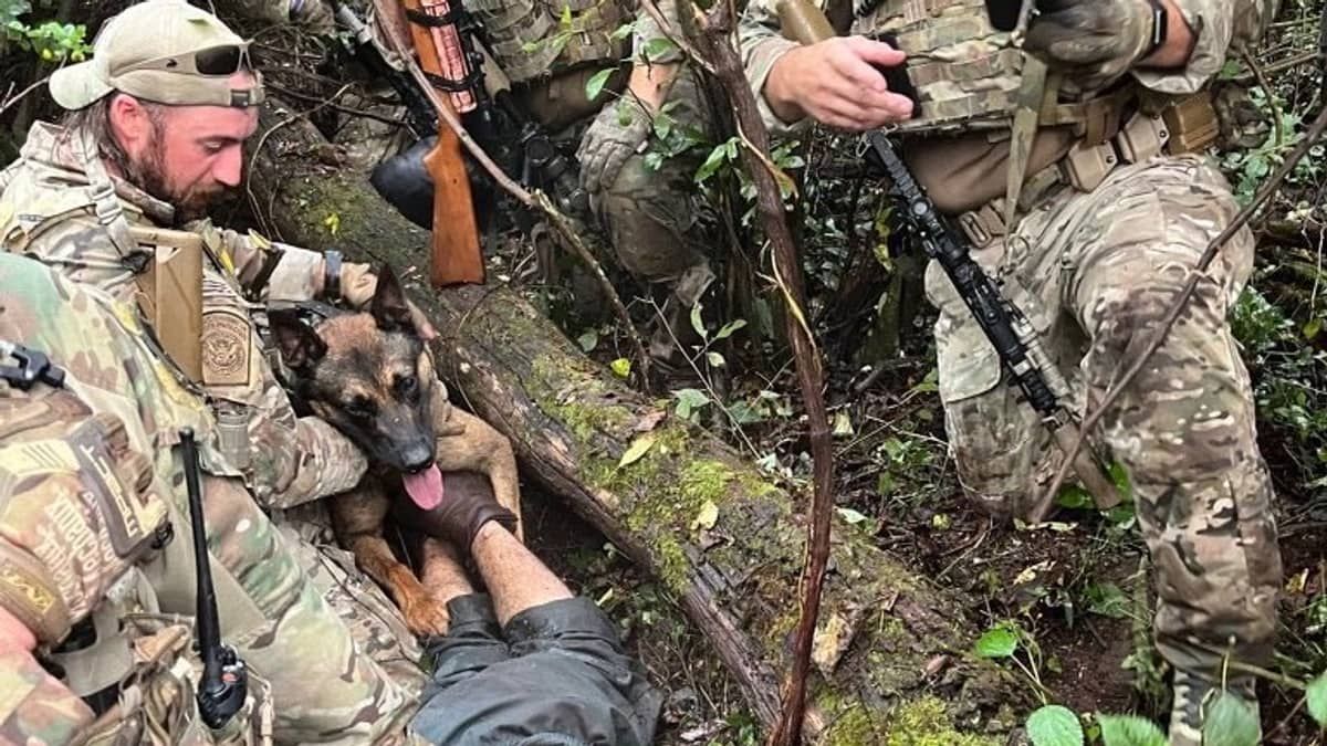 Brasileiro foragido nos EUA: imagem de cachorro capturando Danilo Cavalcante viraliza; confira