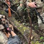 Brasileiro foragido nos EUA: imagem de cachorro capturando Danilo Cavalcante viraliza; confira
