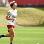 David Luiz volta a treinar com o grupo e reforça o Flamengo na Libertadores