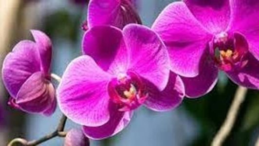 Desembargador afirmou que foi possível constatar que a queda de parte do muro causou danos patrimoniais ao imóvel da autora