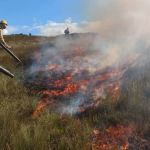 Bombeiros de Minas registram 45 focos de incêndios florestais em apenas 9 dias; veja balanço