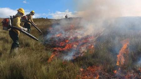 De janeiro a julho deste ano, os bombeiros registraram 563 incêndios florestais na Região Metropolitana de Belo Horizonte