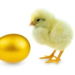 Crise Mundial do Ovo! Dúzia nos EUA passa de R$ 40