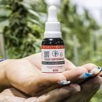 Justiça autoriza morador de Divinópolis (MG) a plantar maconha para tratar ‘dores crônicas’ 