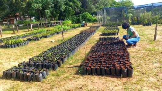 Decisão sobre os rumos da fundação agrícola é considerada a última fatia da reforma administrativa mineira