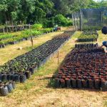 Comissão de Educação da ALMG recomenda veto a projeto que extingue a Fucam