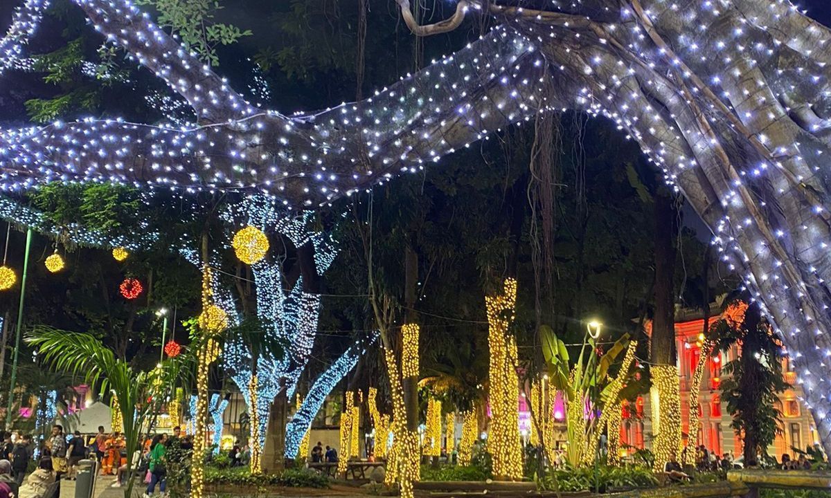 Decoração de Natal será desmontada na próxima semana em Juiz de Fora