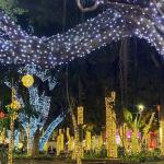 Decoração de Natal será desmontada na próxima semana em Juiz de Fora