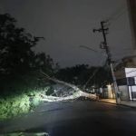 SP tem quedas de árvores, falta de energia e água após temporal 