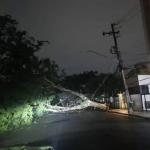 SP tem quedas de árvores, falta de energia e água após temporal
