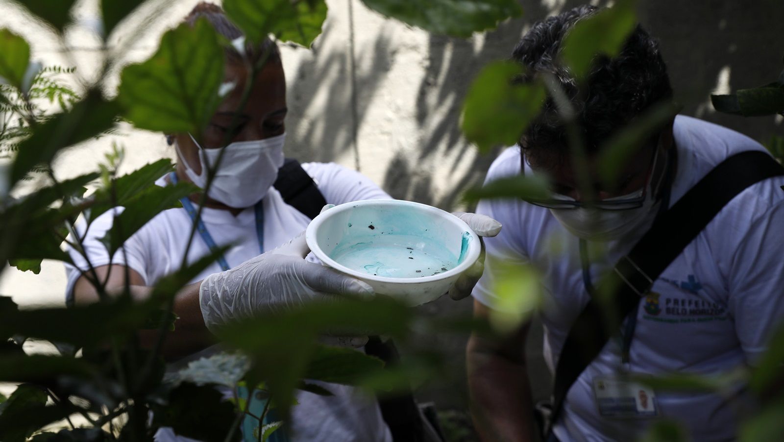 Dengue em BH: número de casos cresce 17% e Barreiro lidera ranking de regionais