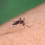 Governo de Minas distribui mais de 400 mil testes rápidos para diagnóstico da dengue