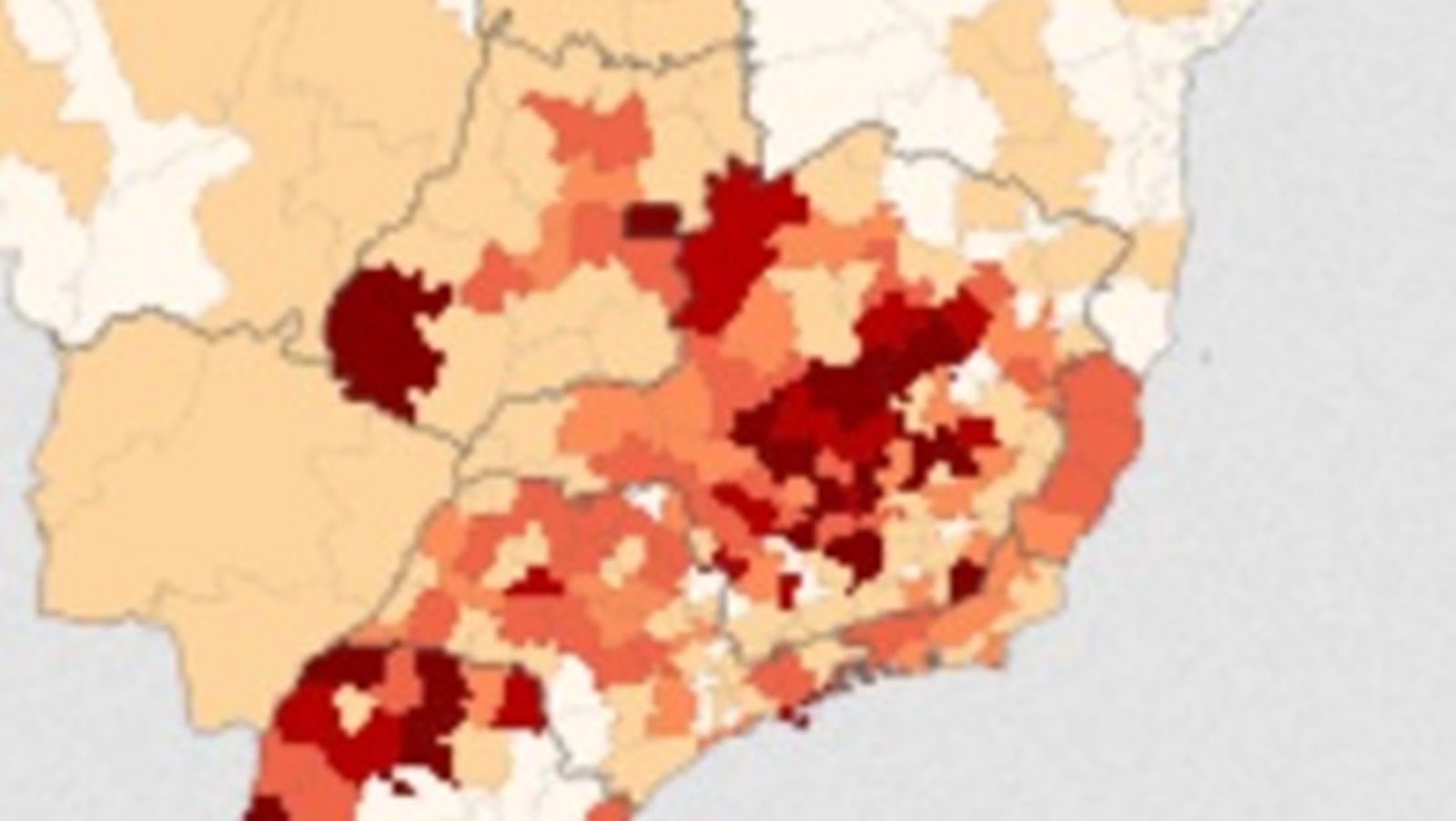 Dengue em MG: BH, Itabira e Vespasiano lideram número de casos; veja o top 10