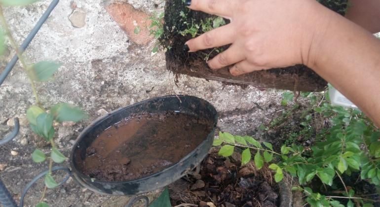 Dengue em BH: veja qual regional da capital mineira tem mais casos