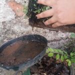 Agentes de endemia realizam visitas por diversos bairros em Juiz de Fora