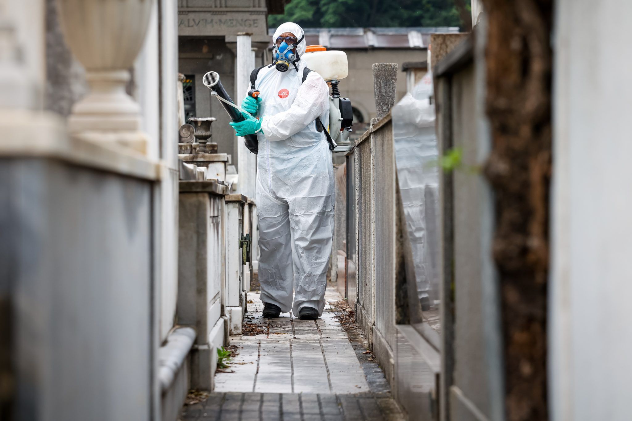 Dengue em BH:  prefeitura estuda instalação de hospitais temporários em três regionais da capital