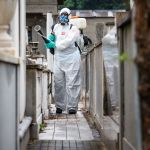 Dengue assintomática: 'infecção silenciosa' e 'risco invisível' preocupam autoridades