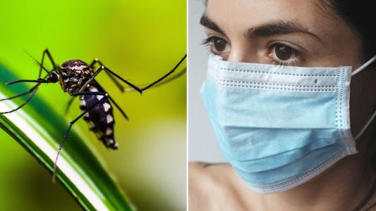 Foto mostra mosquito da dengue e máscara de proteção facial