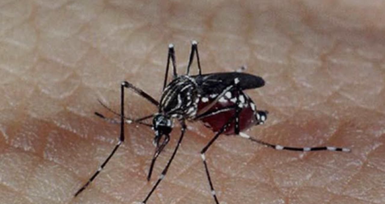 Minas Gerais realiza Dia D contra Aedes aegypti em 814 municípios neste sábado (28)