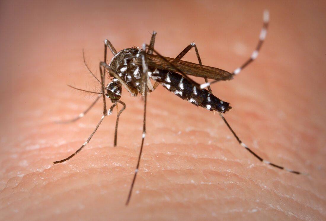 Santa Luzia declara situação de emergência devido a surto de dengue