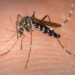 Santa Luzia declara situação de emergência devido a surto de dengue