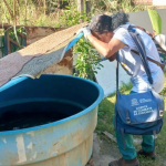 MG: Zona da Mata tem 8 mil casos de dengue e uma morte em Juiz de Fora