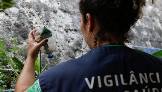‘Dia D’: Saúde convoca população e autoridades para participação coletiva na ação nacional em combate à dengue | CNN Brasil