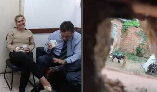 Serial Killer Envenena Cães