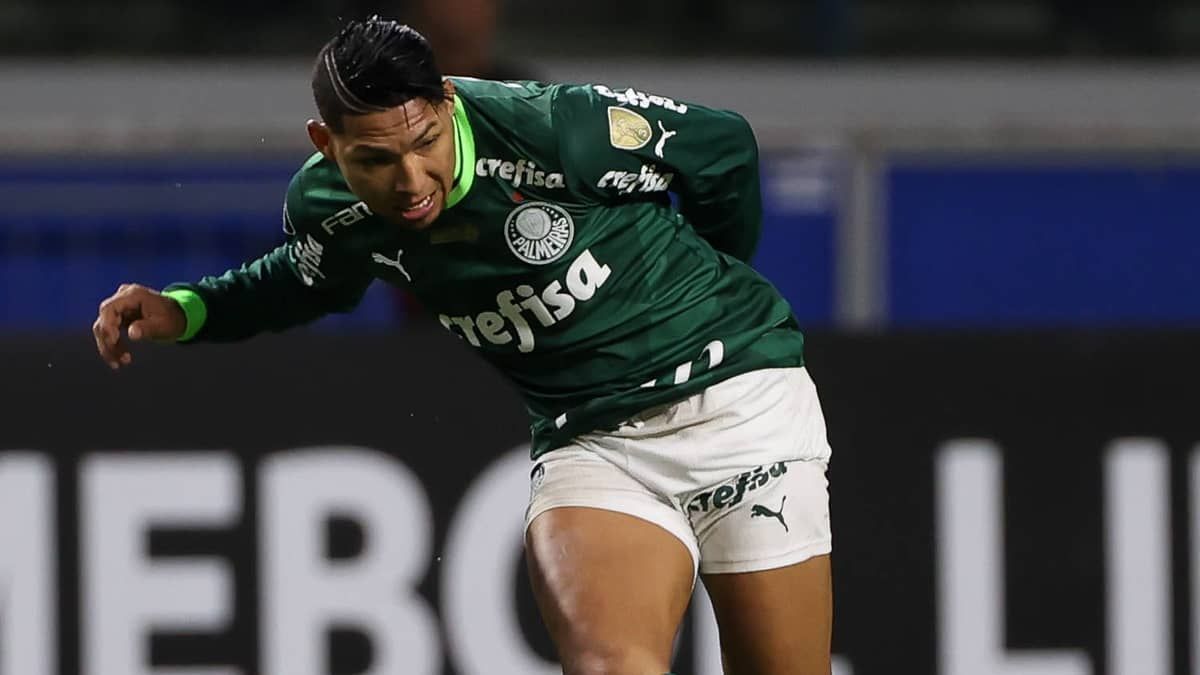 Deportivo Pereira x Palmeiras: escalações na Libertadores