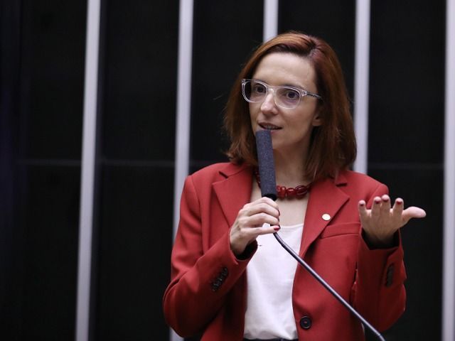 Comissão da Mulher  na Câmara Federal será presidida por deputada mineira