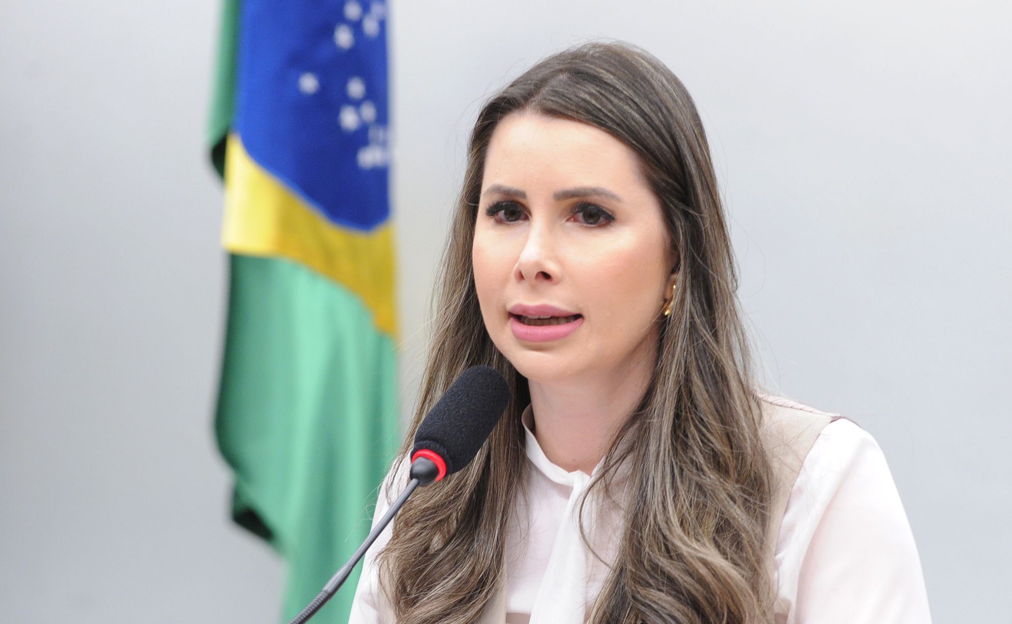 Projeto que prevê guarda compartilhada de pets após divórcio aguarda votação na Câmara
