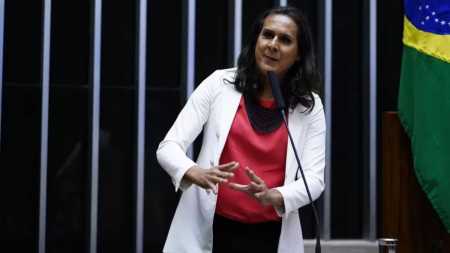 Deputada federal, Duda Salabert (PDT-MG)