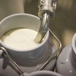 Projeto que obriga informação sobre a origem do leite nos rótulos avança na ALMG  