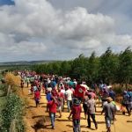 Deputados da CPI do MST visitam zona rural de SP em primeira agenda externa da comissão