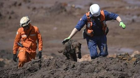 Desastre em Brumadinho