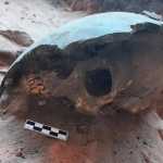 Descoberta arqueológica no sul do Piauí revela sociedade indígena com domínio em tecelagem
