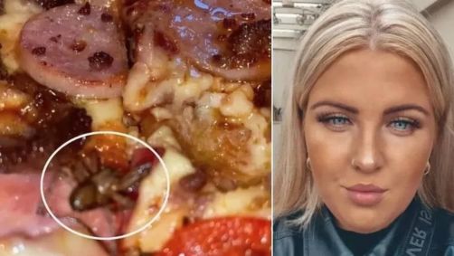 Descoberta do inseto no meio da pizza gerou susto e indignação na família