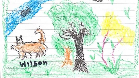 Desenho foi feito no hospital onde as crianças estão internadas